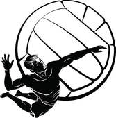 boys vball